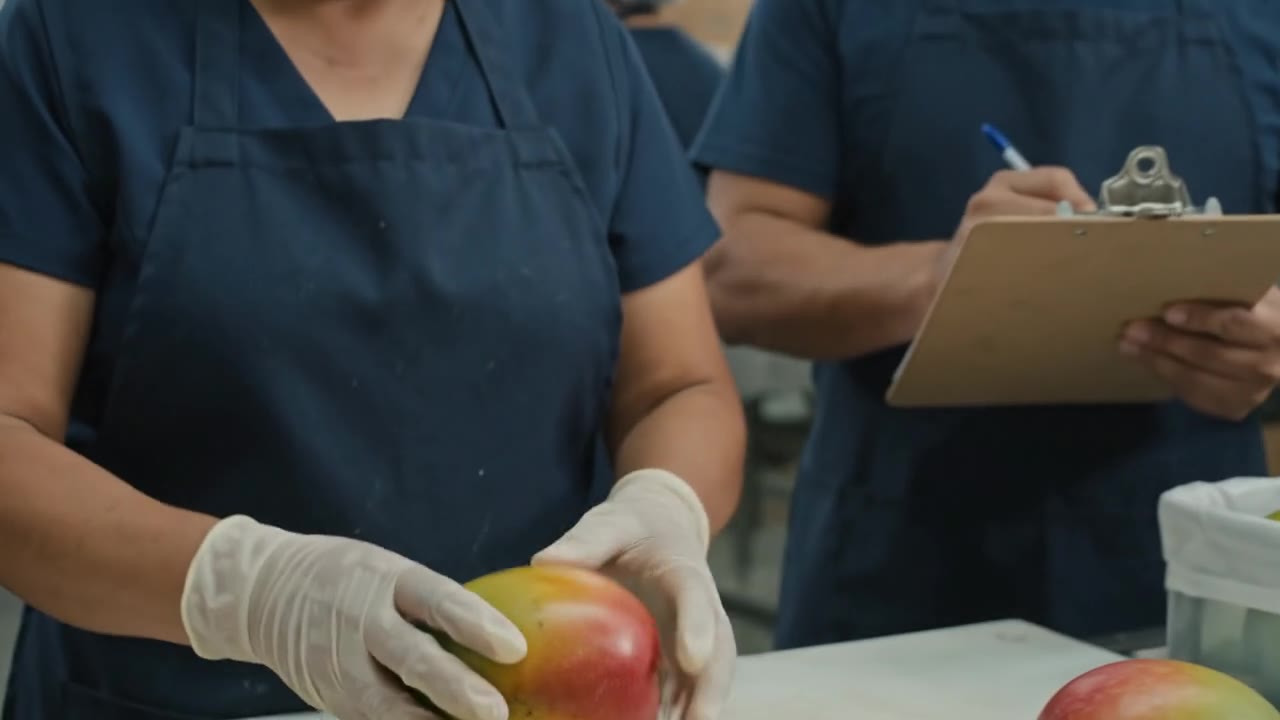 Personal adulto hispano seleccionando y controlando productos en la empacadora